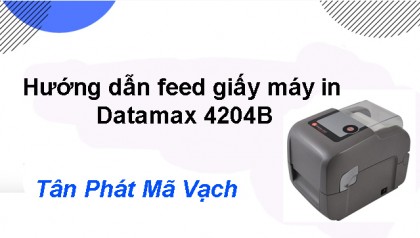 Hướng dẫn feed giấy máy in Datamax 4204B